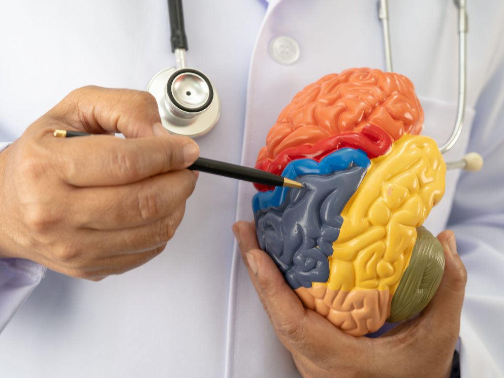 Neurologia w Gajda-Med