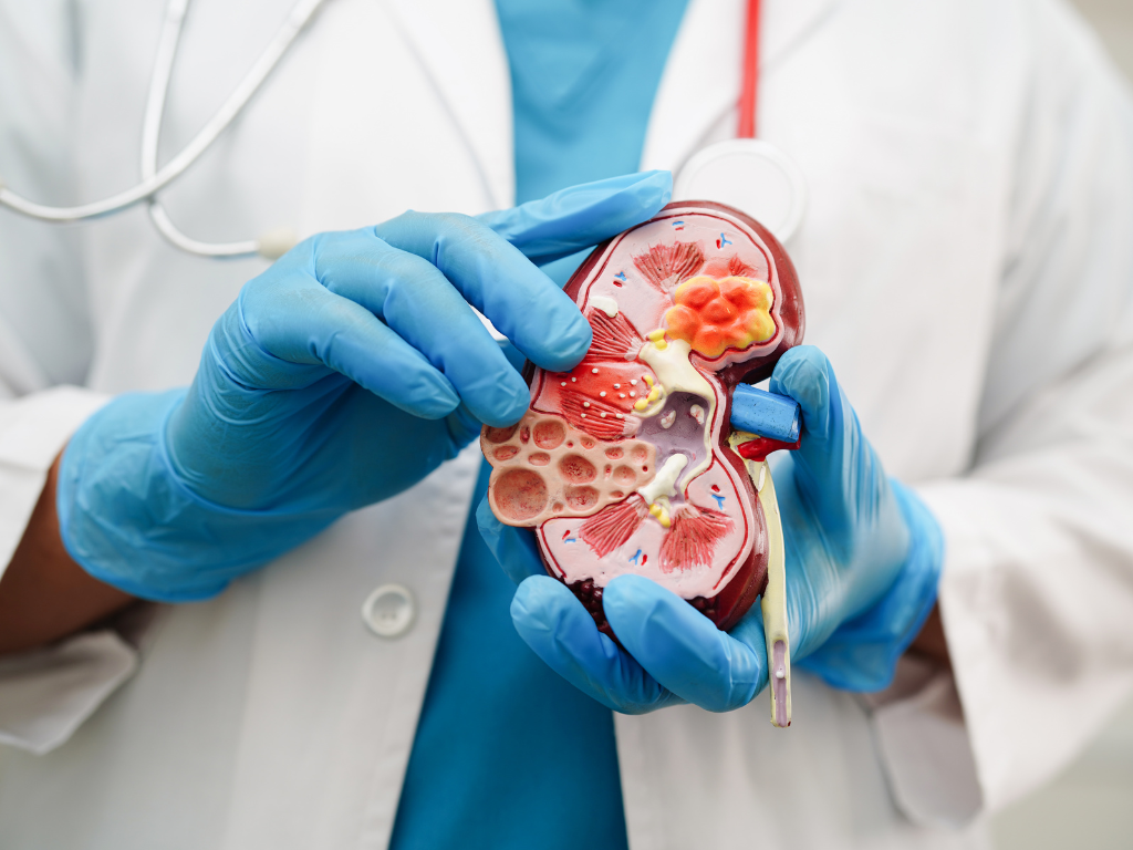 Urologia w Gajda-Med